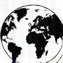 Globe icon representing international expertise